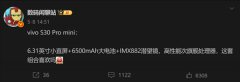 而且新增了一款小曲屏机型S30Promini