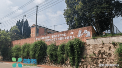 瑞杨必瑞正在互联网营销培训范畴具有14年工做经