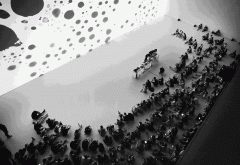 “今日将来馆”的粉丝和浩繁明星的充满了微博